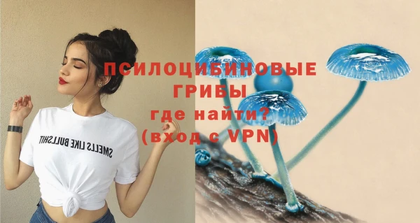 индика Беломорск