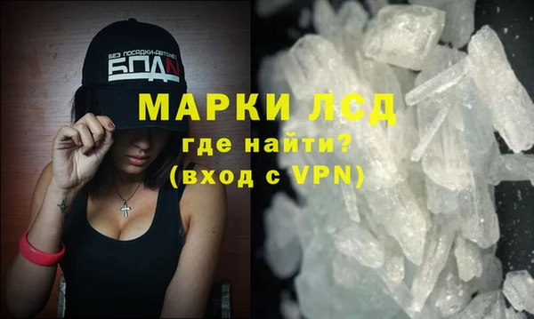 индика Беломорск