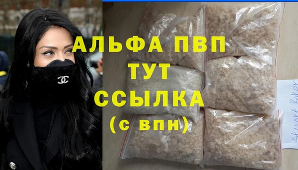 индика Беломорск