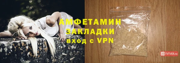 индика Беломорск
